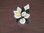 Blumenstrauß Calla weiß