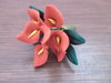 Blumenstrauß Calla rot