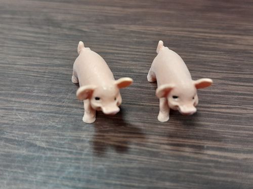 2 Schweinchen